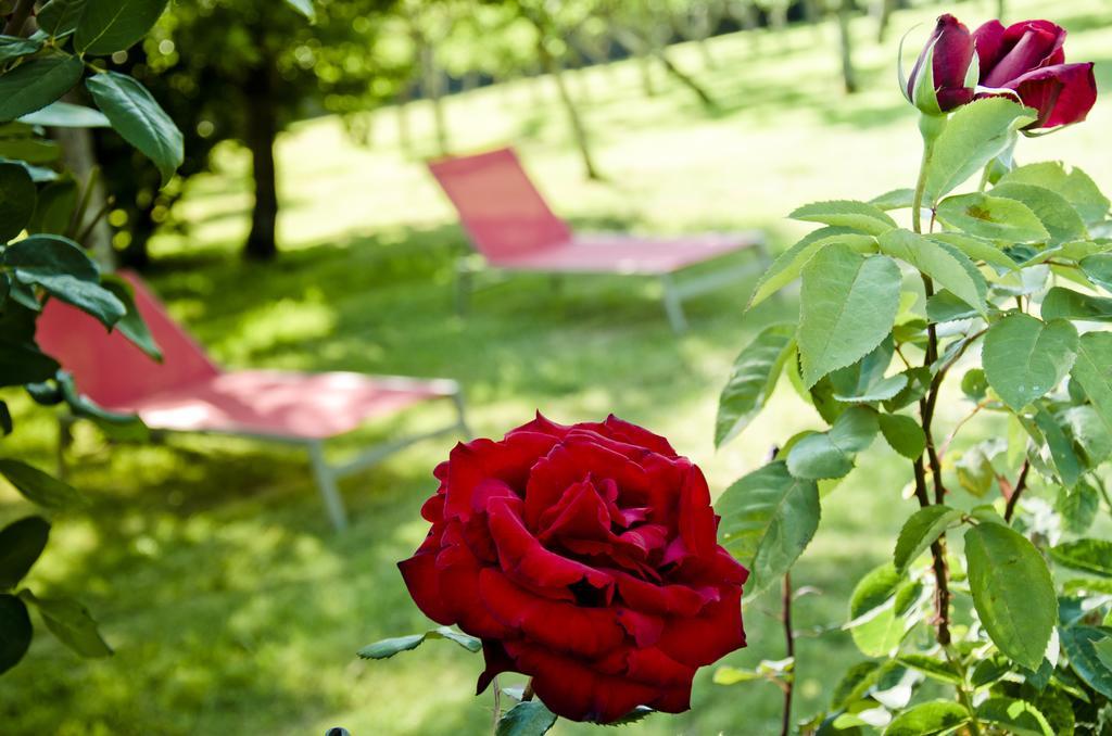 Pazo De Andeade Guest House Bagian luar foto