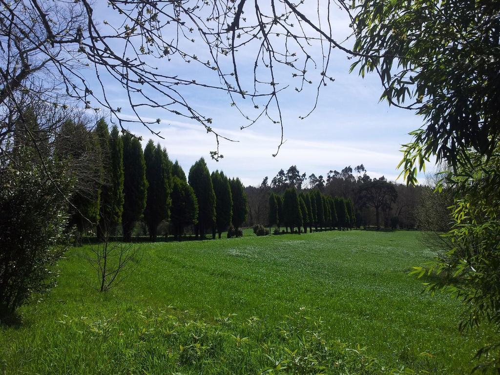 Pazo De Andeade Guest House Bagian luar foto