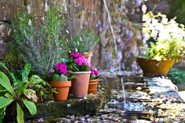 Pazo De Andeade Guest House Bagian luar foto